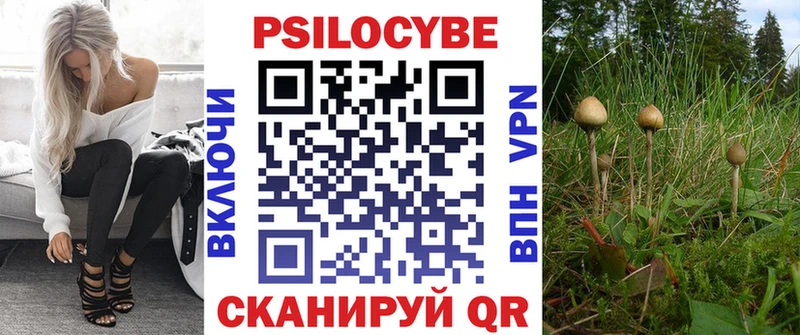Псилоцибиновые грибы ЛСД  Новошахтинск 